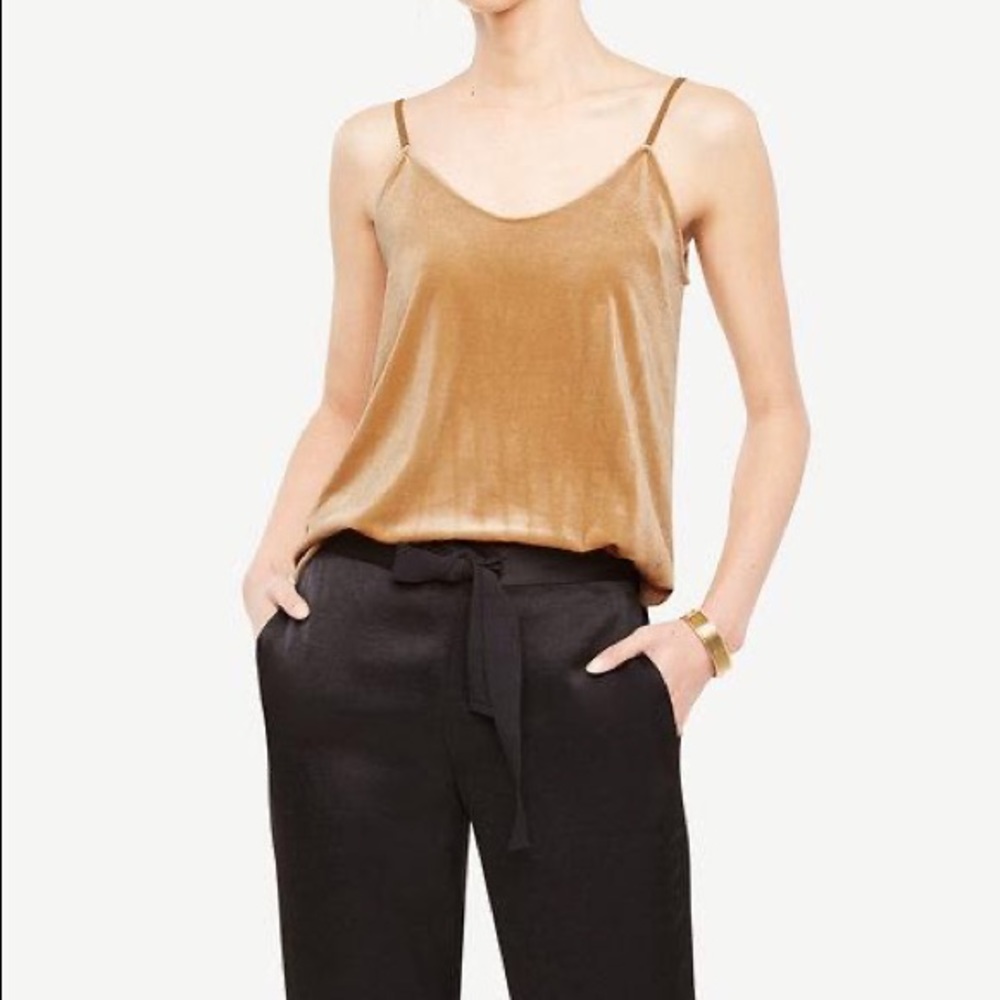 Ann Taylor Velvet Cami